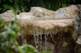 Green Oasis Home Boutique