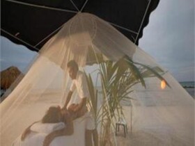 Hidden Beach Resort Au Naturel Club
