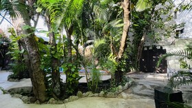Hotel B&B - 5th Avenue