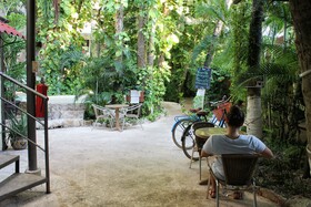 Hotel B&B - 5th Avenue