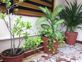 Hotel Pension San Juan