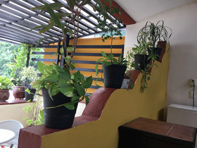 Hotel Pension San Juan