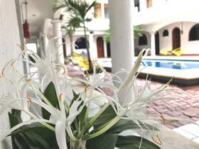 Hotel San Ignacio