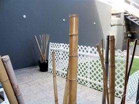 Iris Studios and Apartments