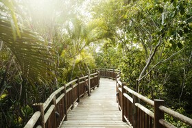 Jungala Park Hotel - VidantaWorld Riviera Maya