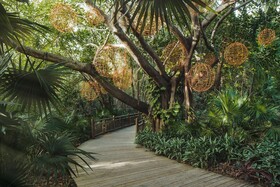 Jungala Park Hotel - VidantaWorld Riviera Maya