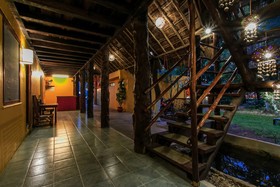 Esduma Iguanas Playa del Carmen