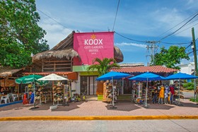 Esduma Iguanas Playa del Carmen