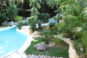 La Tortuga Hotel & Spa