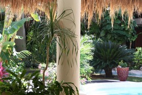 La Tortuga Hotel & Spa