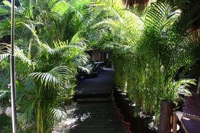 La Tortuga Hotel & Spa