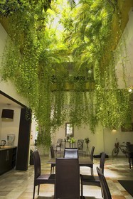 Los Itzaes Hotel