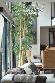 Lotus by Playa District