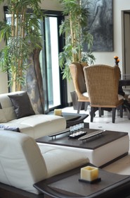 Lotus by Playa District