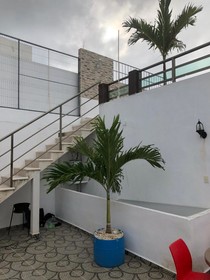 Condo Mar Arena