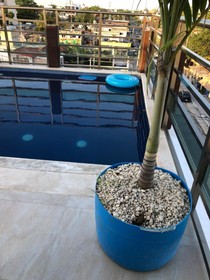 Condo Mar Arena