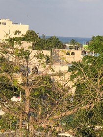 Condo Mar Arena