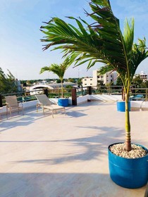 Condo Mar Arena