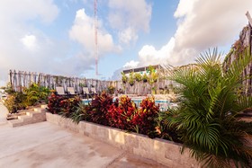 Condo Mar Arena