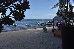 Ocean Plaza by Praia