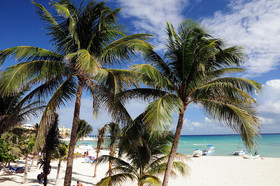Ocean Plaza Condos by Rentals Your Way