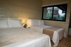 Palmares by Playa Moments