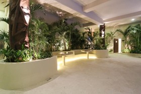 Palmares by Playa Moments