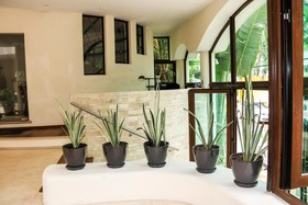 Playa Palms Boutique Beach Hotel