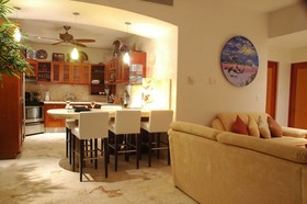 Porto Playa Condo