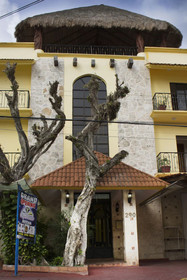 Quinta Avenida Downtown Apartments