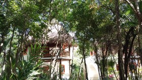 Riviera Maya Suites