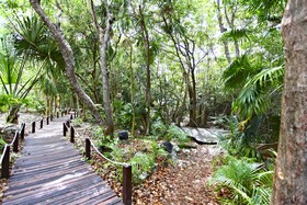 Sandos Caracol Eco Resort - Select Club Section