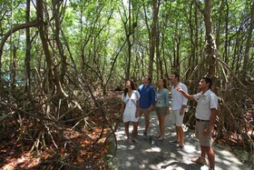 Sandos Caracol Eco Resort - Select Club Section