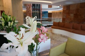 Senses Quinta Avenida Hotel by Artisan