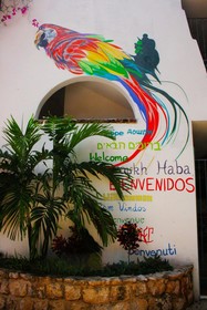 The Yak Hostel