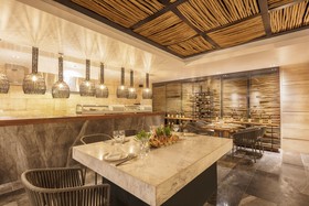 The Yucatan Playa del Carmen All-Inclusive Resort, Tapestry by Hilton