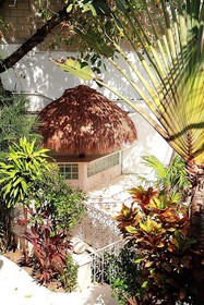 Tropical Casablanca