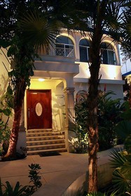 Tropical Casablanca