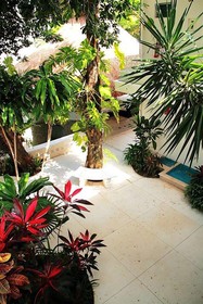 Tropical Casablanca