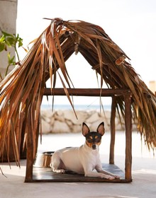 Viceroy Riviera Maya