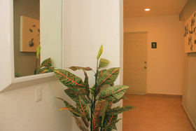 Xell Suites Playa Del Carmen