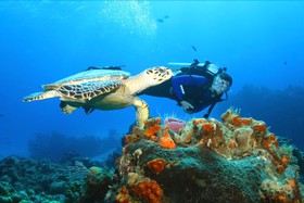 Baru Puerto Aventuras