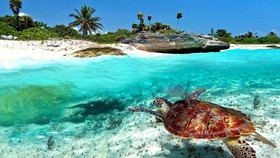 Baru Puerto Aventuras