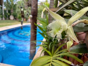 Casa Jaguar
