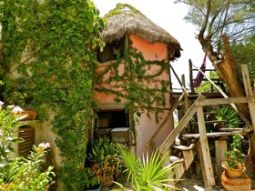 Acamaya Reef Cabañas & Beach Bar