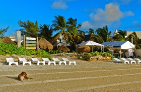 Acamaya Reef Cabañas & Beach Bar