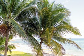 Angelina 28 Beachfront Hotel By Nah Hotels