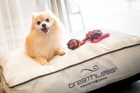 Breathless Riviera Cancun Resort & Spa