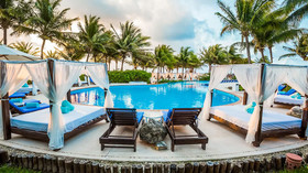 Desire Riviera Maya Pearl Resort