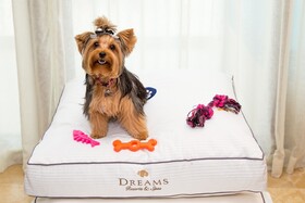 Dreams Jade Resort & Spa